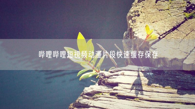 哔哩哔哩短视频动漫片段快速缓存保存