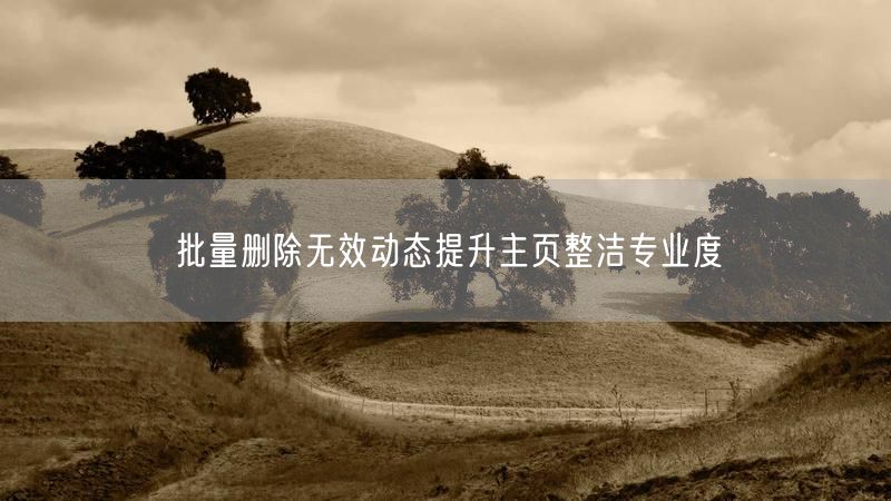 批量删除无效动态提升主页整洁专业度
