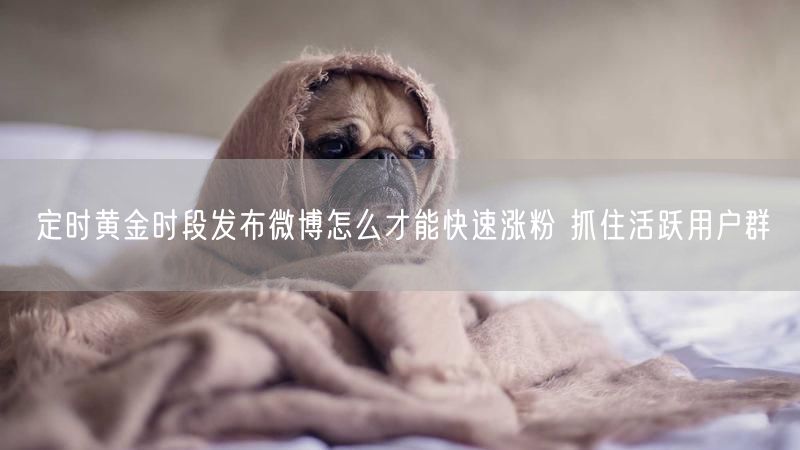 定时黄金时段发布微博怎么才能快速涨粉 抓住活跃用户群