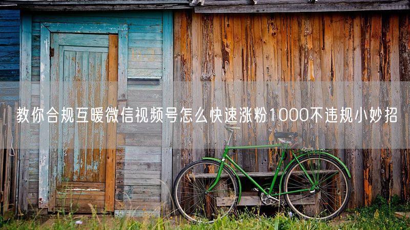 教你合规互暖微信视频号怎么快速涨粉1000不违规小妙招