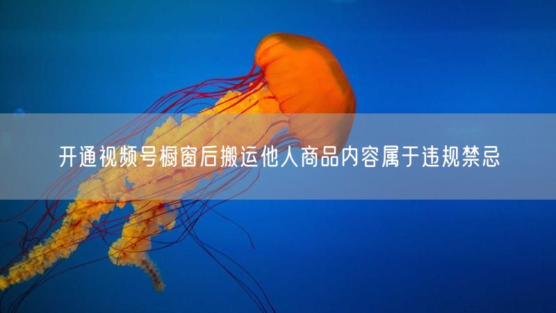 开通视频号橱窗后搬运他人商品内容属于违规禁忌