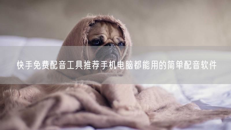 快手免费配音工具推荐手机电脑都能用的简单配音软件