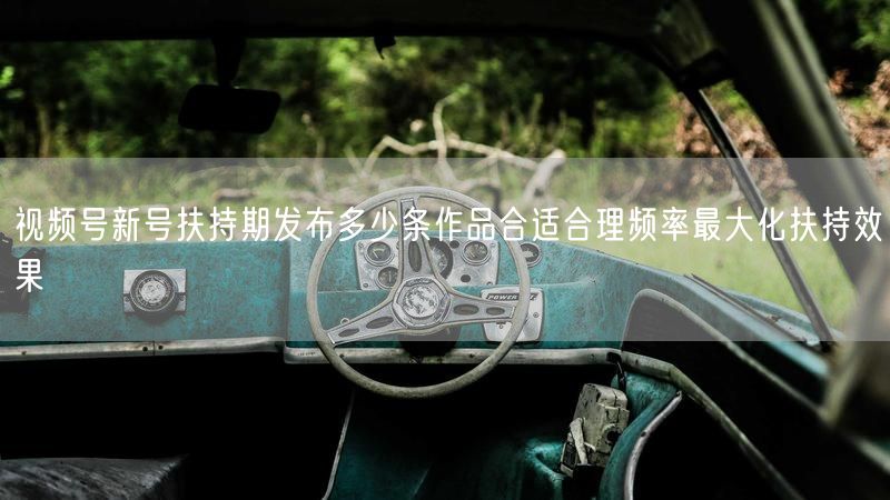 视频号新号扶持期发布多少条作品合适合理频率最大化扶持效果