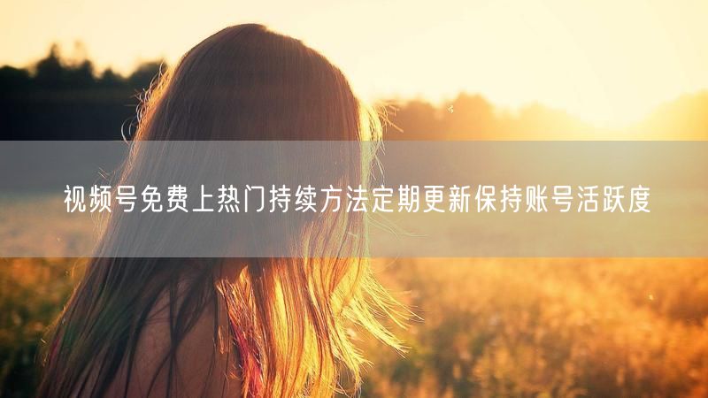 视频号免费上热门持续方法定期更新保持账号活跃度