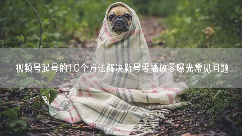 视频号起号的10个方法解决新号零播放零曝光常见问题