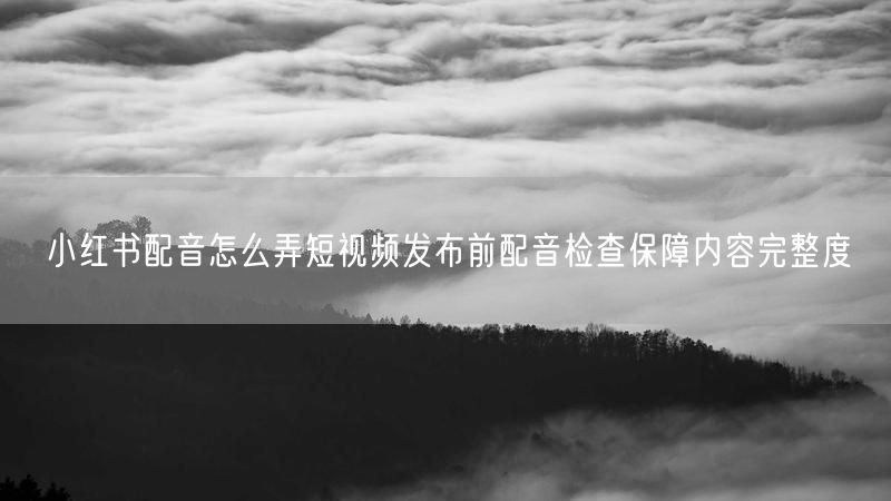 小红书配音怎么弄短视频发布前配音检查保障内容完整度