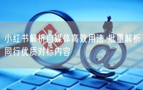 小红书解析自媒体高效用法 批量解析同行优质对标内容
