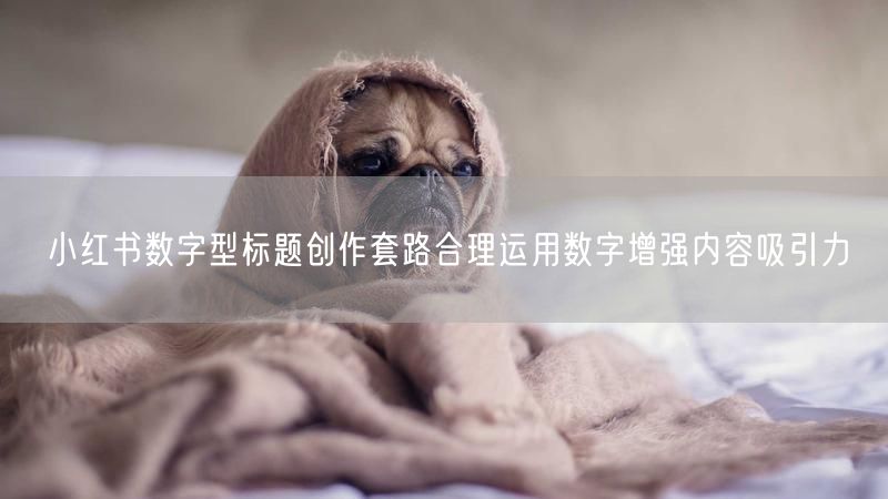 小红书数字型标题创作套路合理运用数字增强内容吸引力