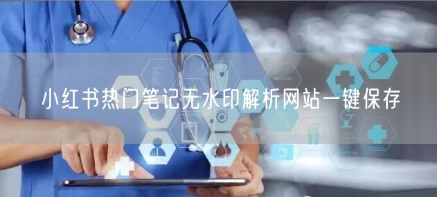 小红书热门笔记无水印解析网站一键保存