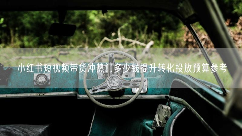 小红书短视频带货冲热门多少钱提升转化投放预算参考