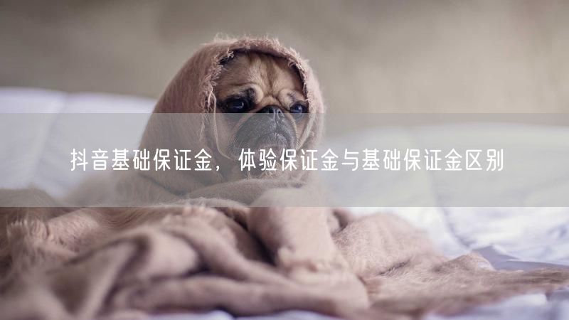 抖音基础保证金，体验保证金与基础保证金区别