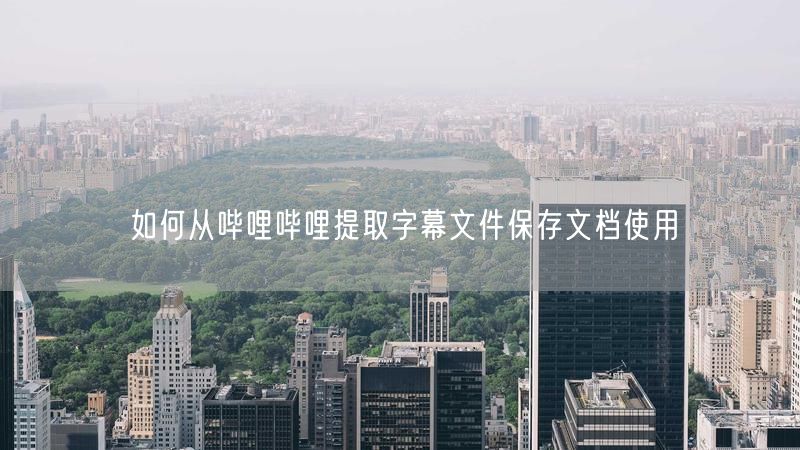 如何从哔哩哔哩提取字幕文件保存文档使用