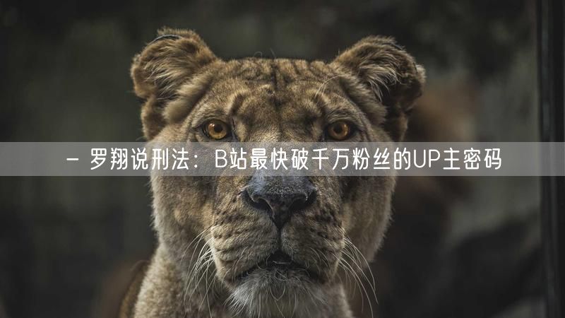 - 罗翔说刑法：B站最快破千万粉丝的UP主密码