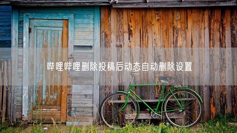 哔哩哔哩删除投稿后动态自动删除设置