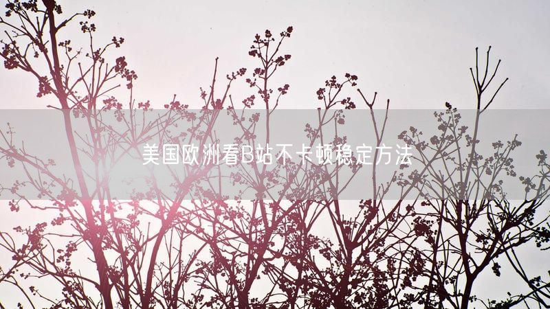 美国欧洲看B站不卡顿稳定方法