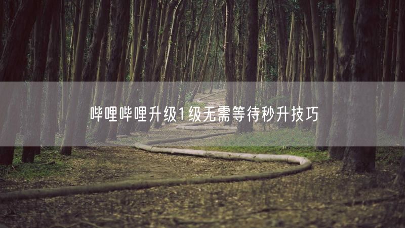 哔哩哔哩升级1级无需等待秒升技巧