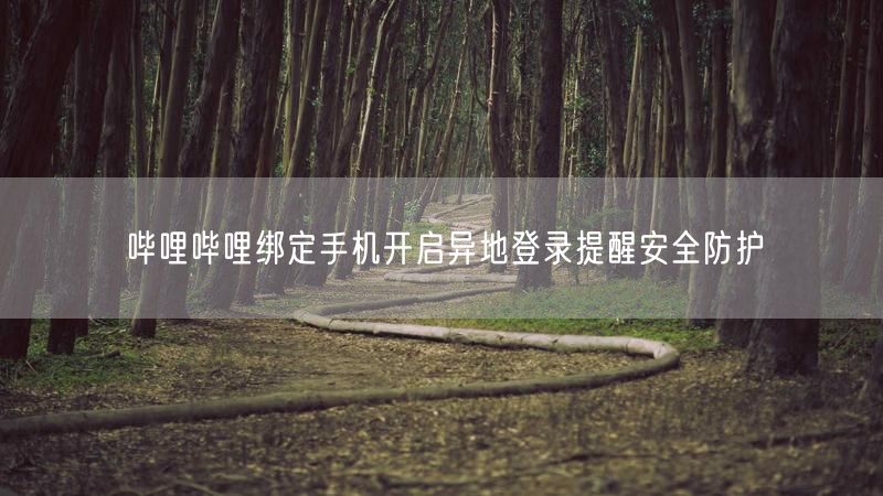 哔哩哔哩绑定手机开启异地登录提醒安全防护