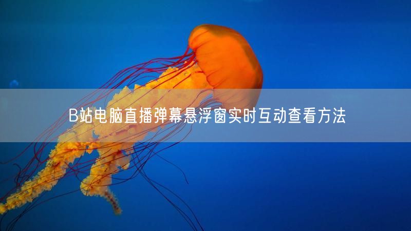 B站电脑直播弹幕悬浮窗实时互动查看方法