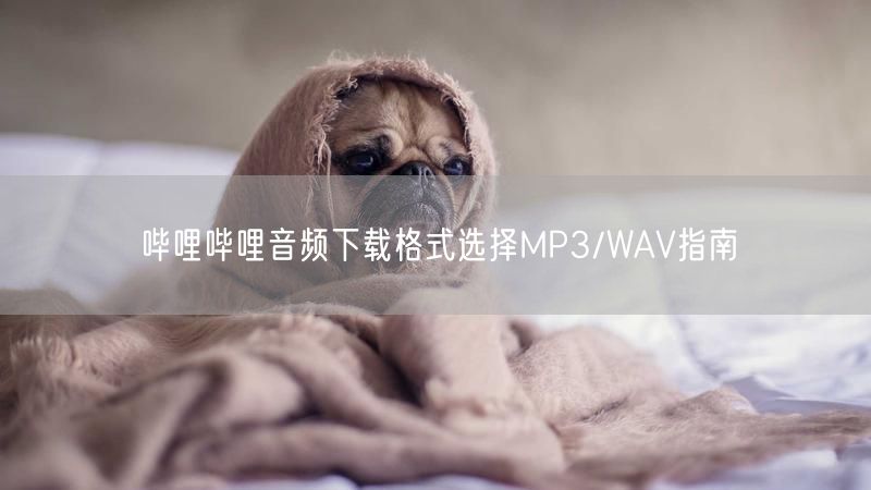 哔哩哔哩音频下载格式选择MP3/WAV指南