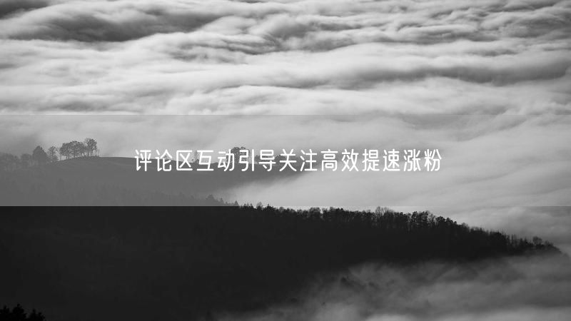 评论区互动引导关注高效提速涨粉