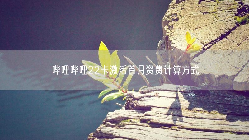 哔哩哔哩22卡激活首月资费计算方式