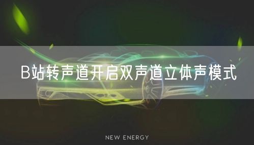 B站转声道开启双声道立体声模式