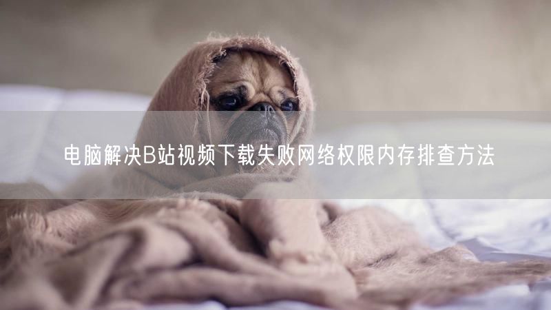 电脑解决B站视频下载失败网络权限内存排查方法