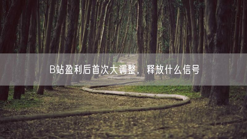 B站盈利后首次大调整，释放什么信号