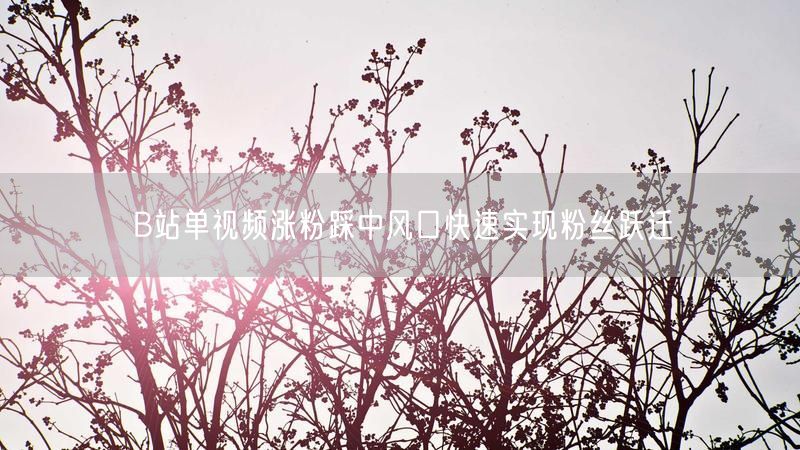 B站单视频涨粉踩中风口快速实现粉丝跃迁