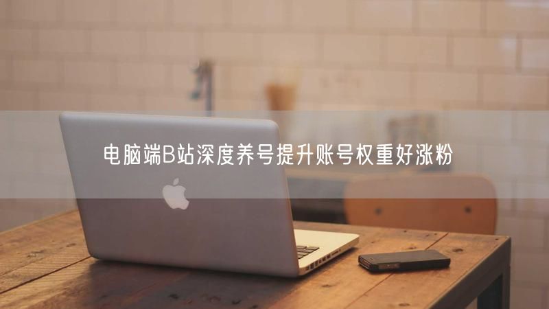 电脑端B站深度养号提升账号权重好涨粉