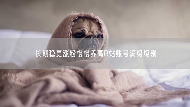 长期稳更涨粉慢慢养高B站账号满级级别