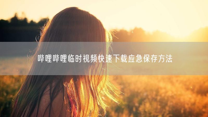 哔哩哔哩临时视频快速下载应急保存方法