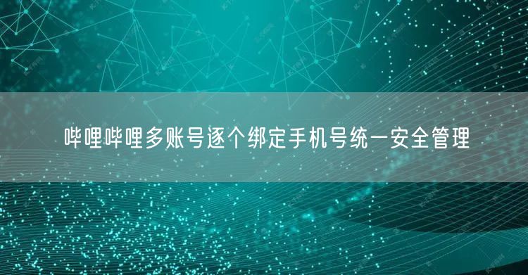 哔哩哔哩多账号逐个绑定手机号统一安全管理