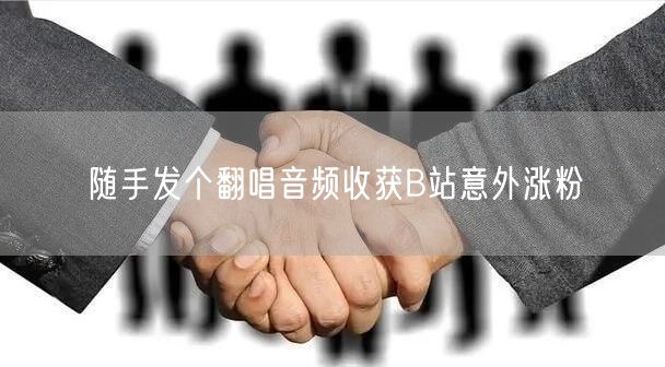 随手发个翻唱音频收获B站意外涨粉