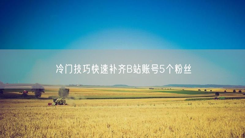 冷门技巧快速补齐B站账号5个粉丝