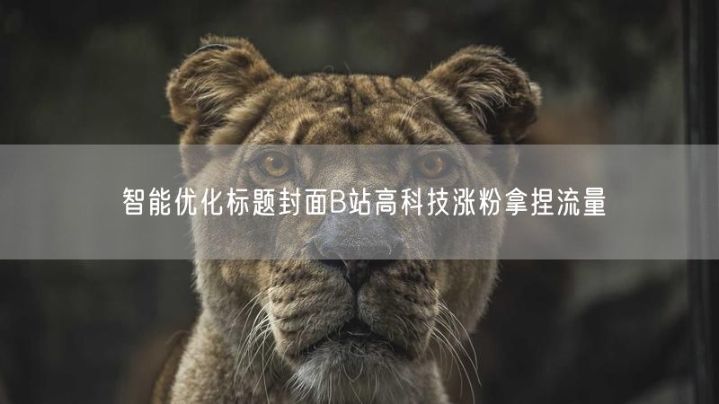 智能优化标题封面B站高科技涨粉拿捏流量