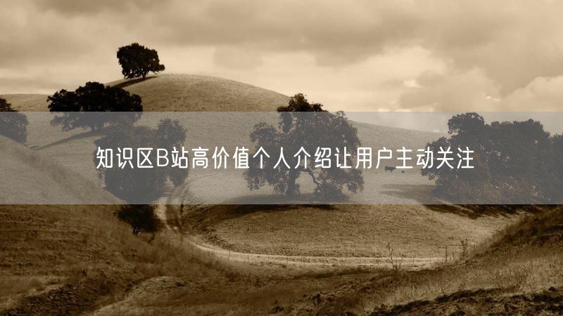 知识区B站高价值个人介绍让用户主动关注
