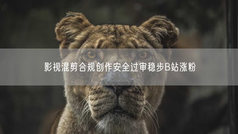 影视混剪合规创作安全过审稳步B站涨粉