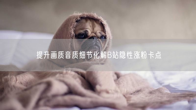 提升画质音质细节化解B站隐性涨粉卡点