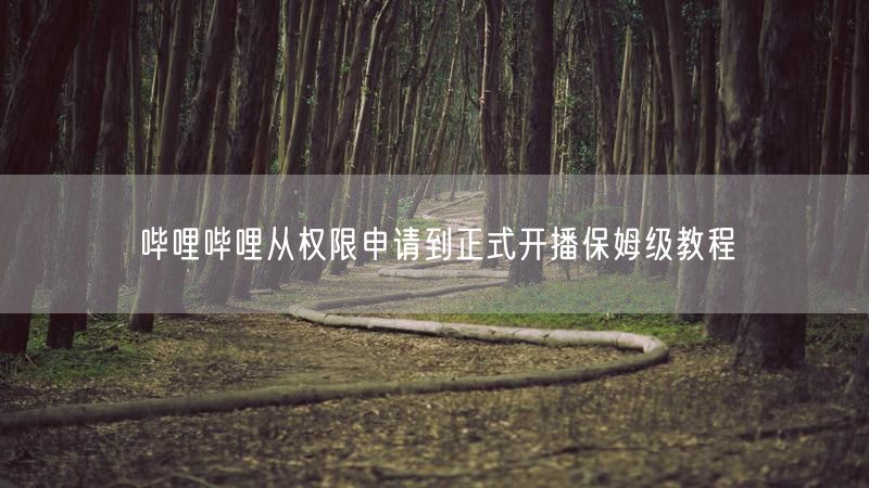 哔哩哔哩从权限申请到正式开播保姆级教程