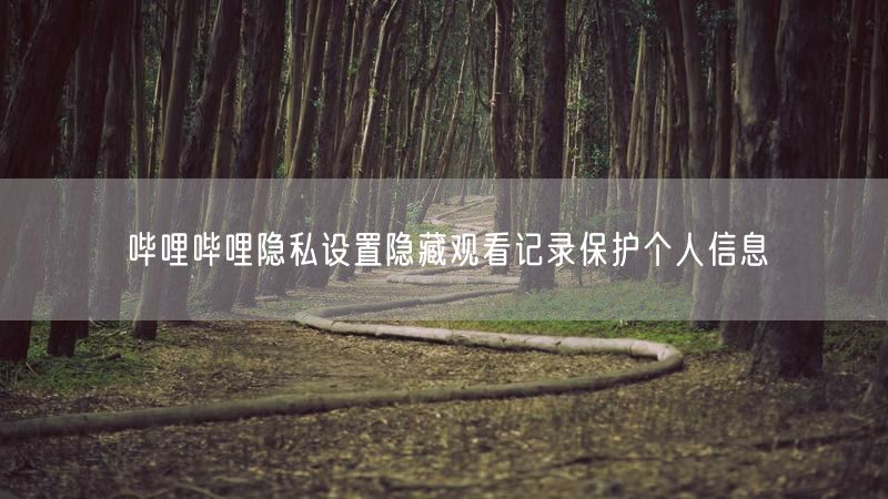 哔哩哔哩隐私设置隐藏观看记录保护个人信息