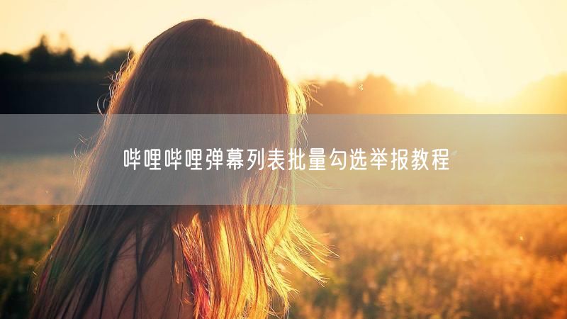 哔哩哔哩弹幕列表批量勾选举报教程