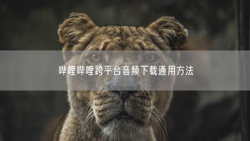 哔哩哔哩跨平台音频下载通用方法