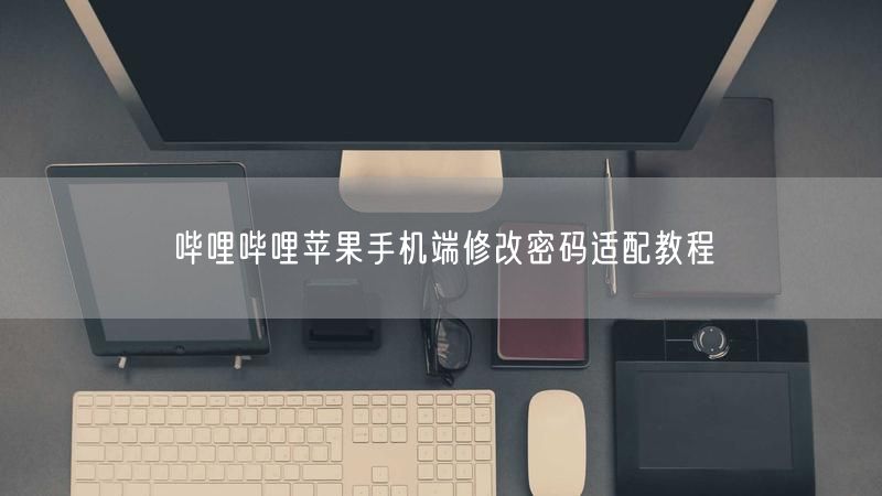 哔哩哔哩苹果手机端修改密码适配教程