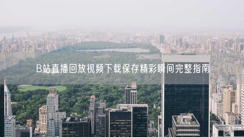B站直播回放视频下载保存精彩瞬间完整指南