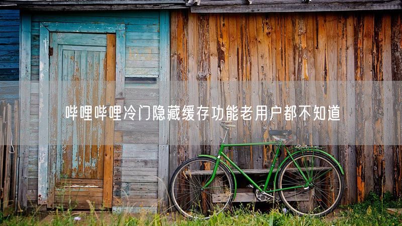 哔哩哔哩冷门隐藏缓存功能老用户都不知道