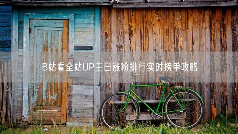 B站看全站UP主日涨粉排行实时榜单攻略