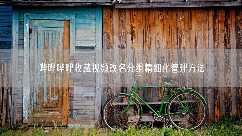 哔哩哔哩收藏视频改名分组精细化管理方法