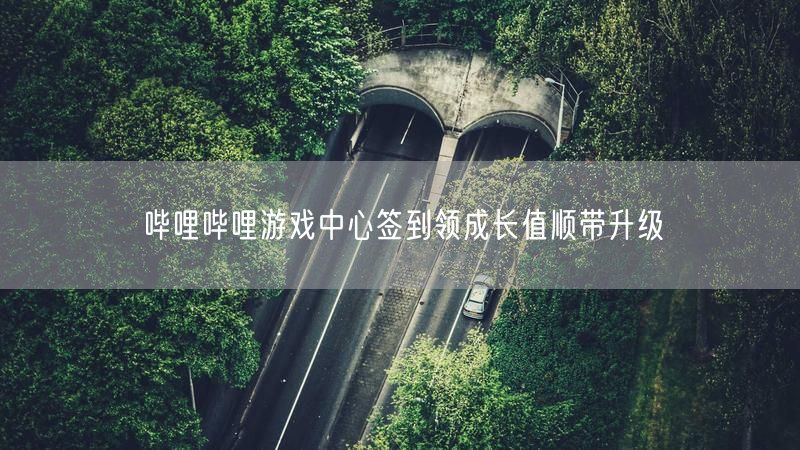 哔哩哔哩游戏中心签到领成长值顺带升级