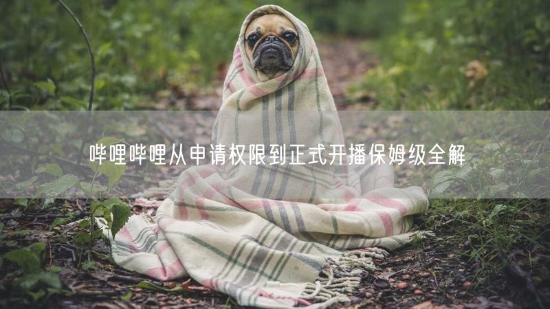 哔哩哔哩从申请权限到正式开播保姆级全解